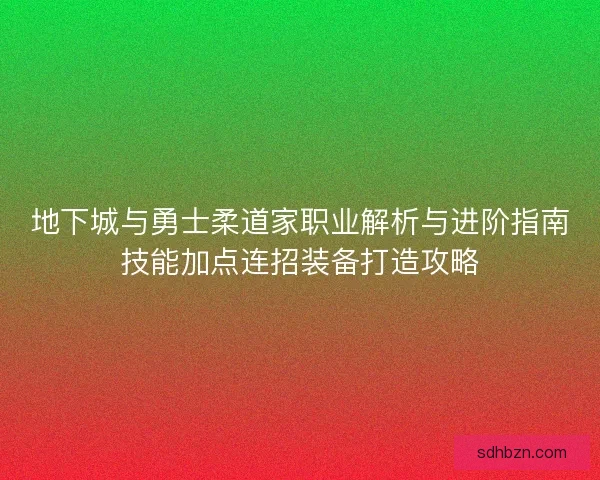 地下城与勇士柔道家职业解析与进阶指南技能加点连招装备打造攻略
